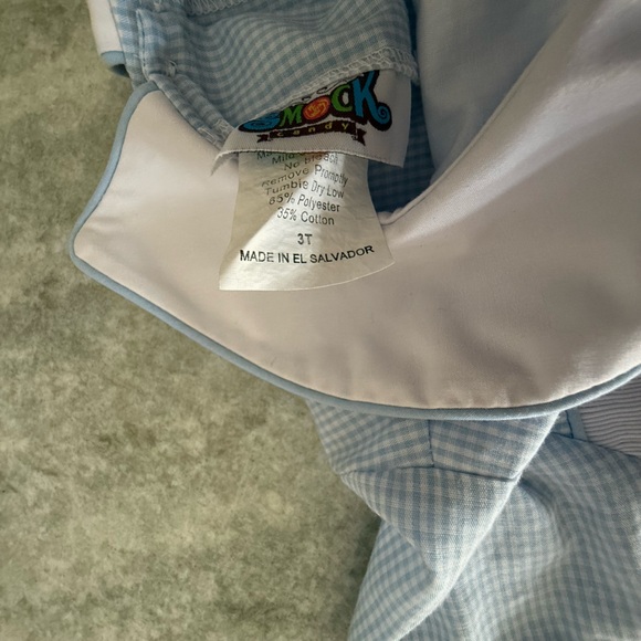 Blue Gingham Peter Pan Collared shirt with Embroidered Detail - Picture 4 of 4